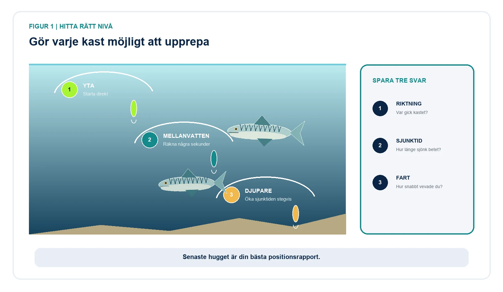Illustration som visar makrillfiske med metallbete nära ytan, i mellanvattnet och djupare med en enkel ordning för att upprepa huggdjupet.