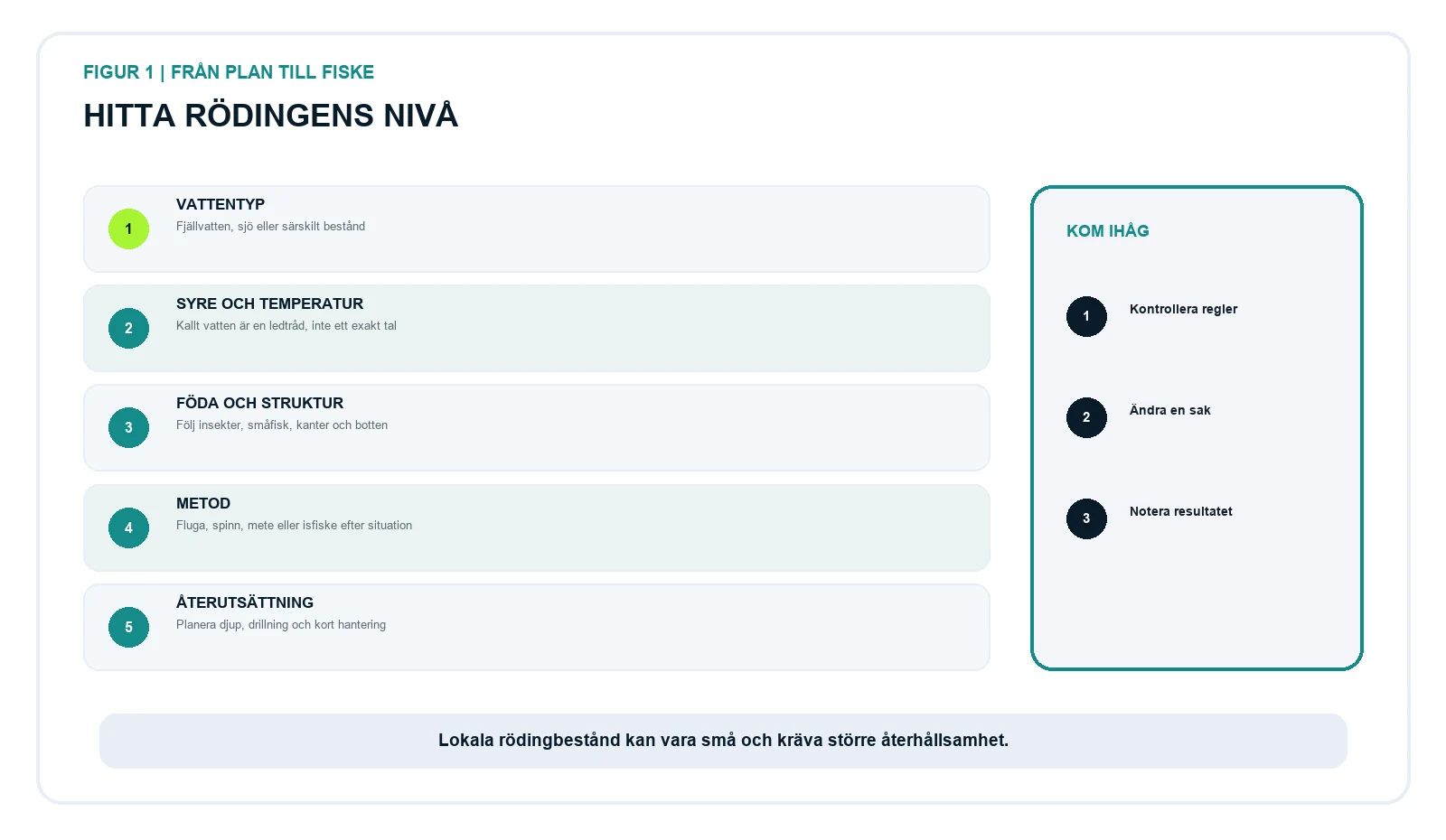 Fem steg för att välja rödingens vatten, nivå, föda, metod och hantering.