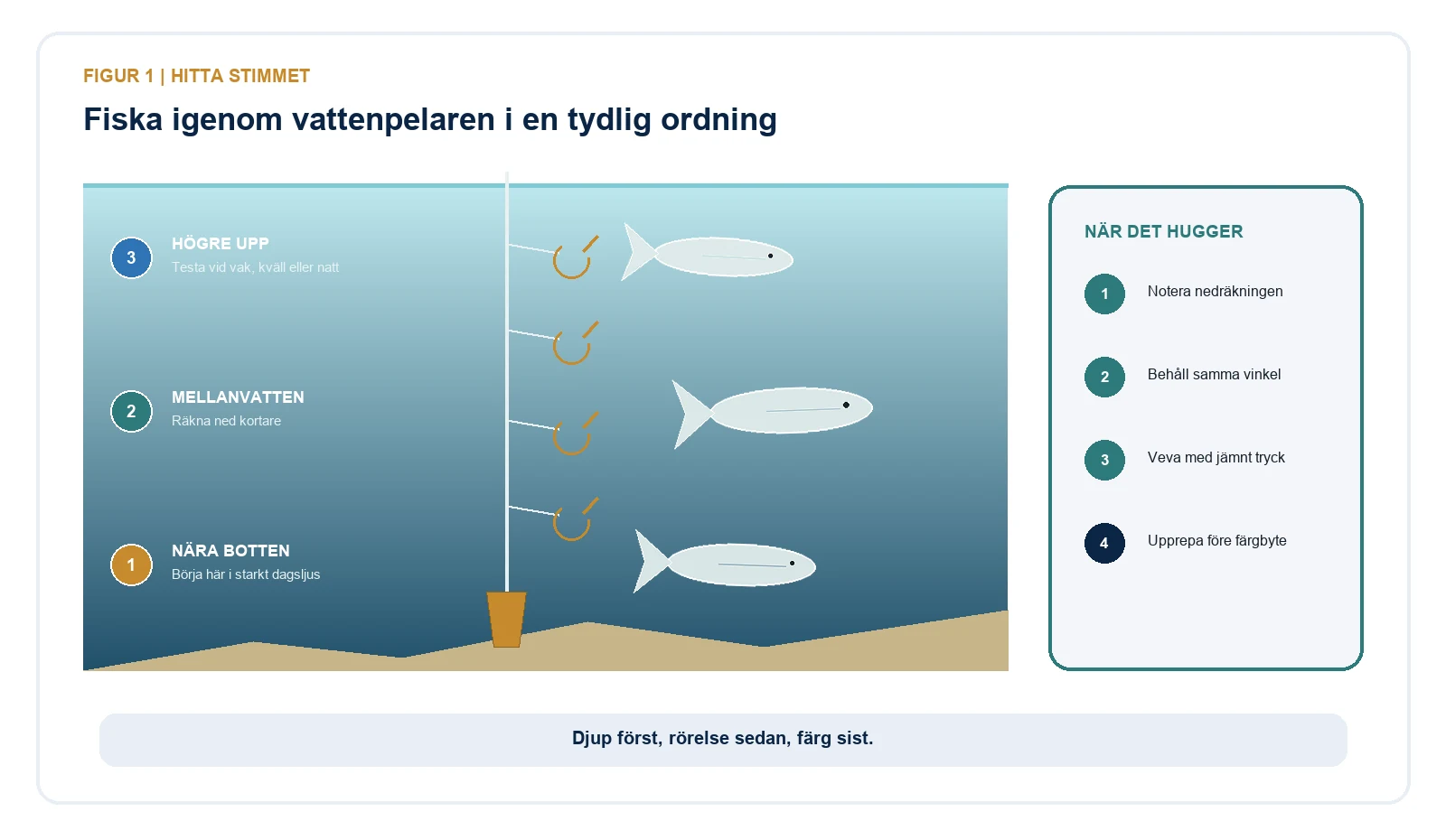 Illustration av en strömmingshäckla som fiskas nära botten, i mellanvattnet och högre upp med fyra steg att upprepa vid hugg.