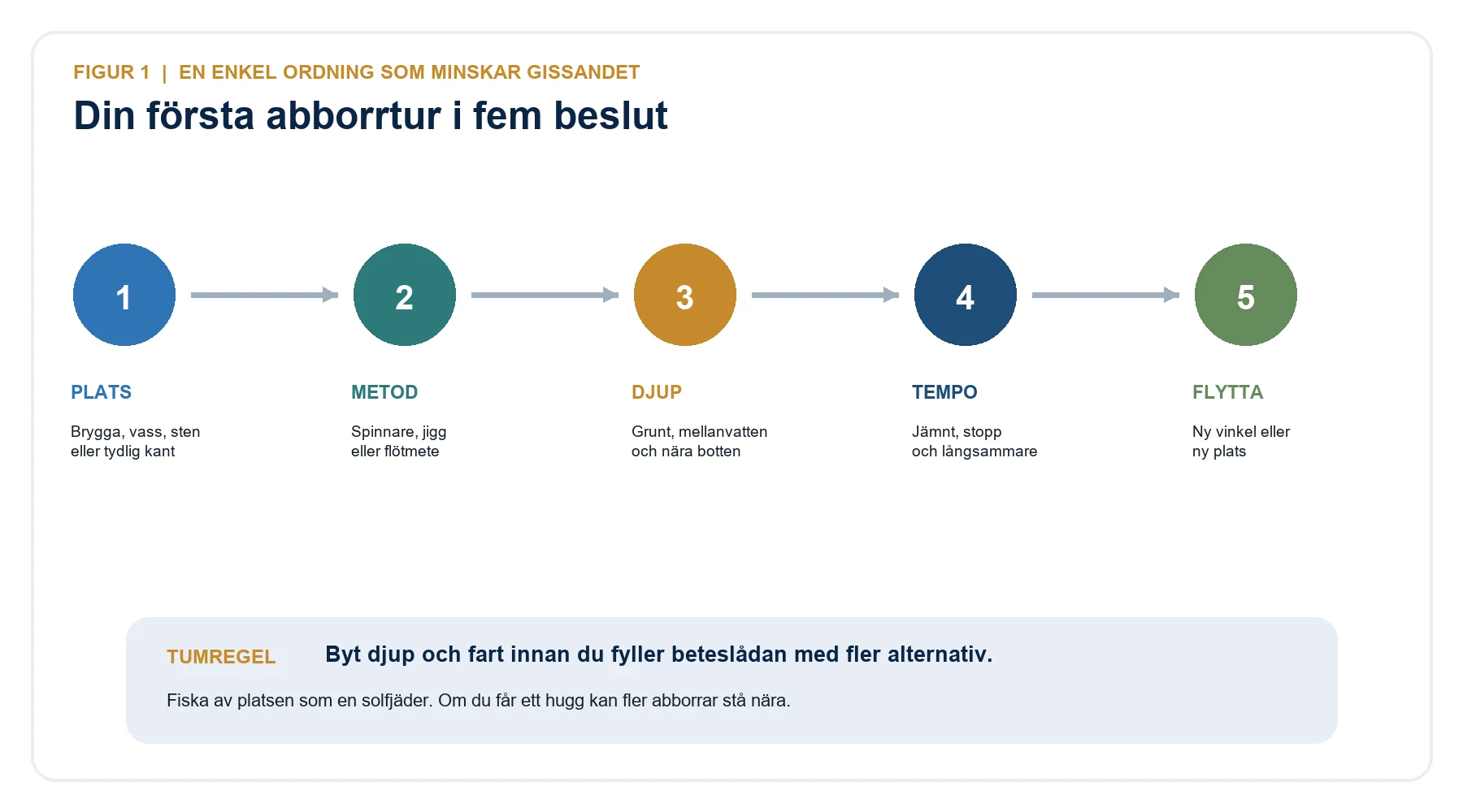 Fem beslut för den första abborrturen: plats, metod, djup, tempo och förflyttning.