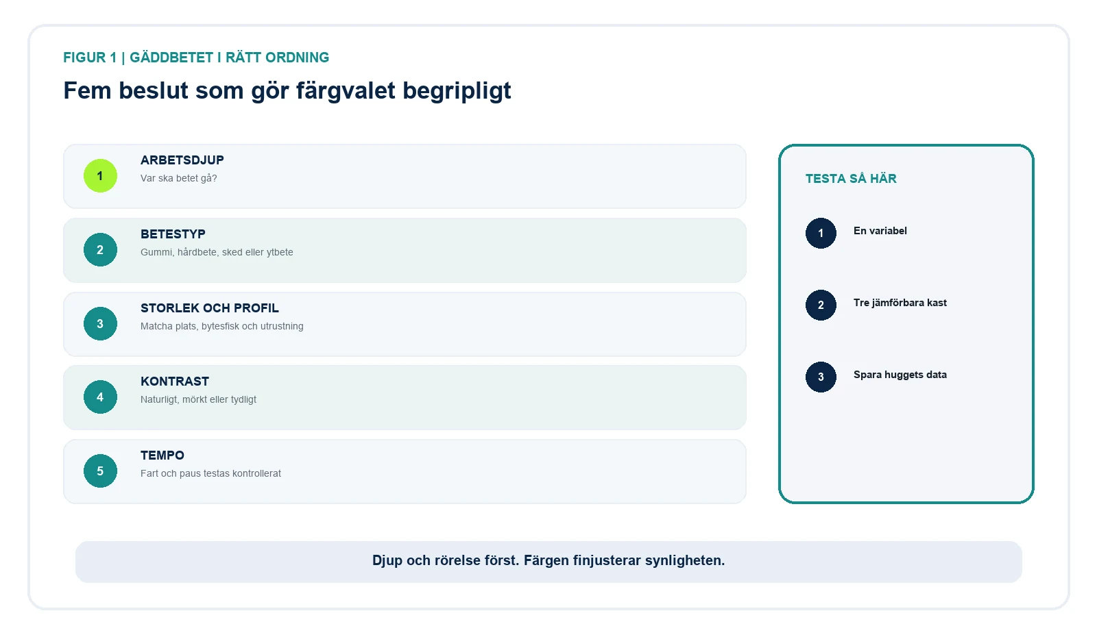 Beslutsmodell för gäddbeten: arbetsdjup, betestyp, storlek, kontrast och tempo.