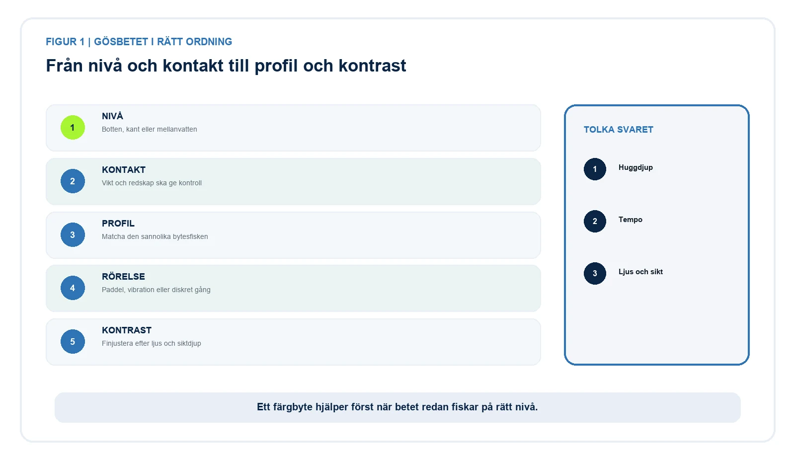 Beslutsmodell för gösbeten: nivå, profil, rörelse, kontrast och testordning.