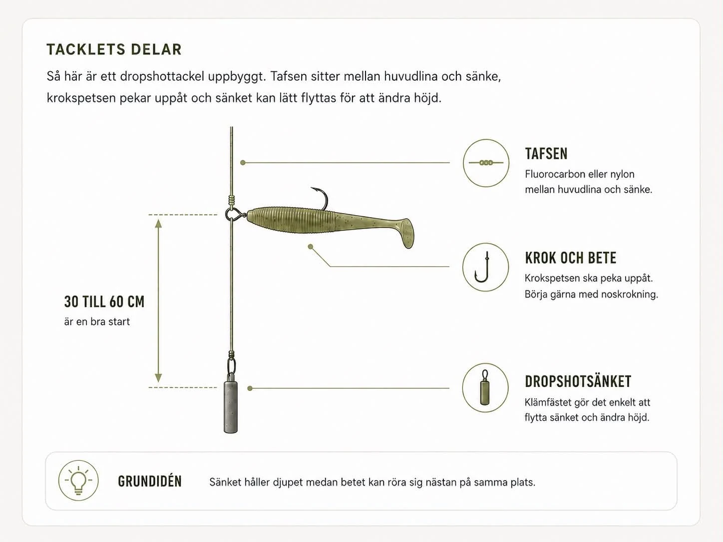 Tacklets delar: tafsen av fluorocarbon eller nylon sitter mellan huvudlina och sänke, kroken med betet riggat så att krokspetsen pekar uppåt, och dropshotsänket med klämfäste längst ner som enkelt kan flyttas för att ändra höjd. Avståndet mellan krok och sänke är markerat som 30 till 60 cm som en bra start.