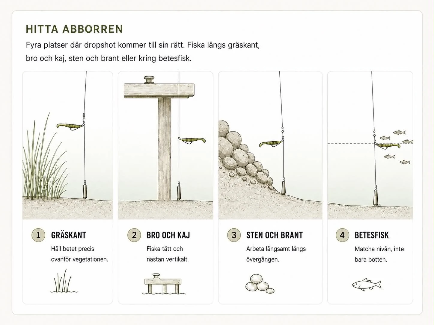 Hitta abborren: fyra platser där dropshot kommer till sin rätt. Gräskanten, där du håller betet precis ovanför vegetationen. Bro och kaj, där du fiskar tätt och nästan vertikalt. Sten och brant, där du arbetar långsamt längs övergången. Betesfisk, där du matchar nivån i stället för att fiska mot botten.