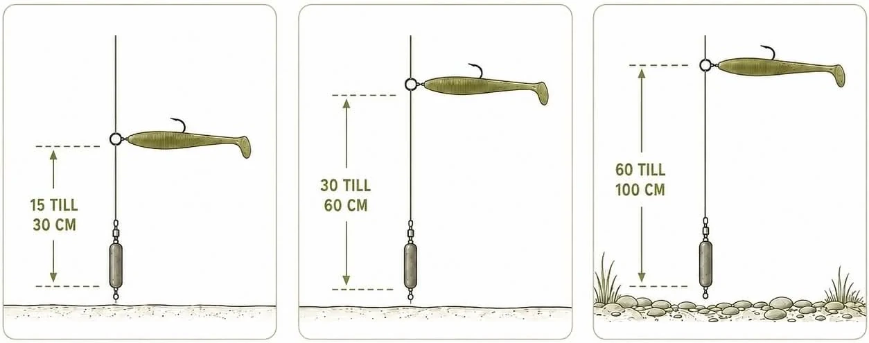 Tre dropshotriggar jämförda: sänket ligger på botten och betet sitter 15 till 30 cm, 30 till 60 cm respektive 60 till 100 cm ovanför det.