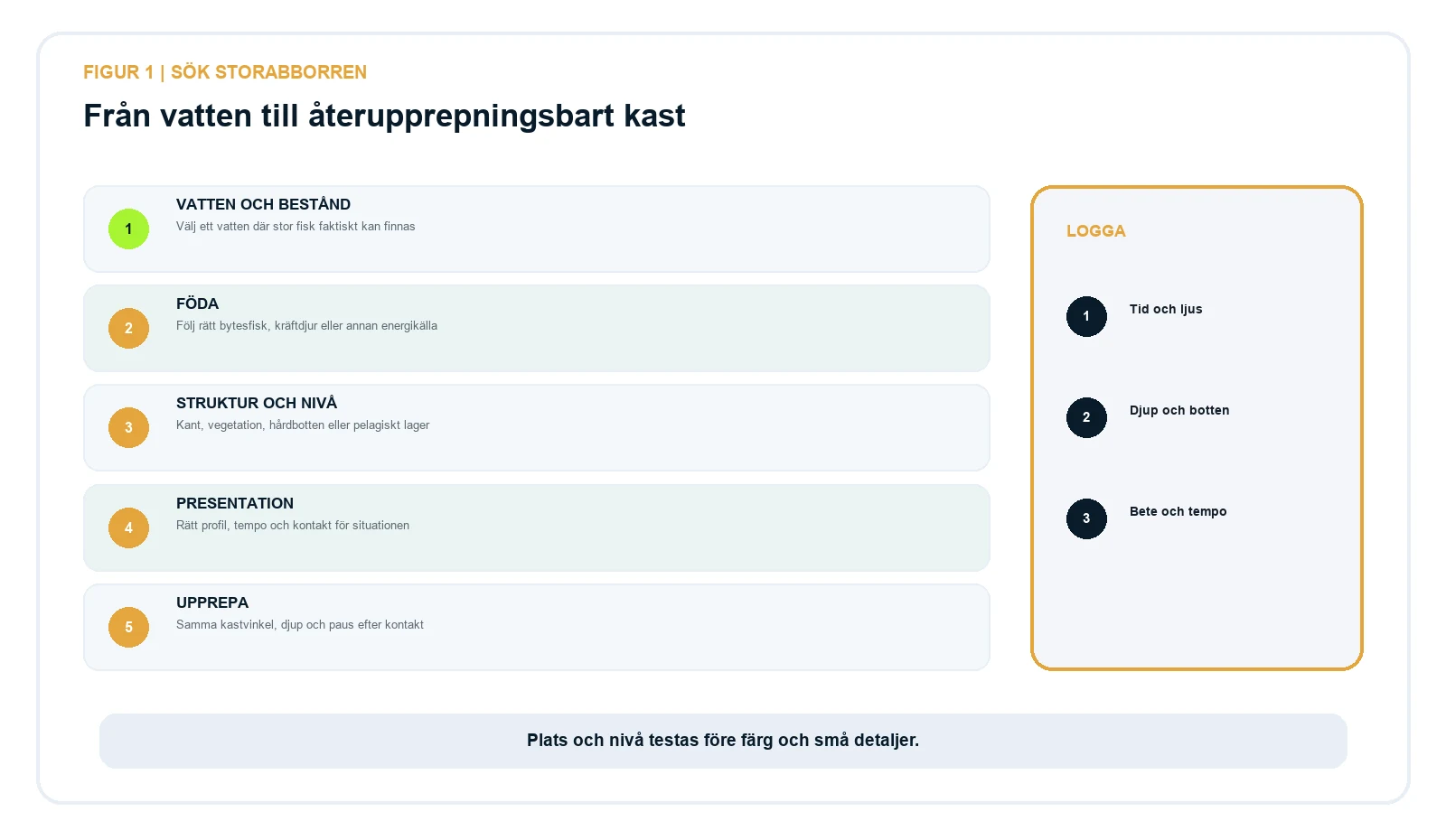 Fem steg för storabborre: vatten och bestånd, föda, struktur och nivå, presentation samt upprepning.
