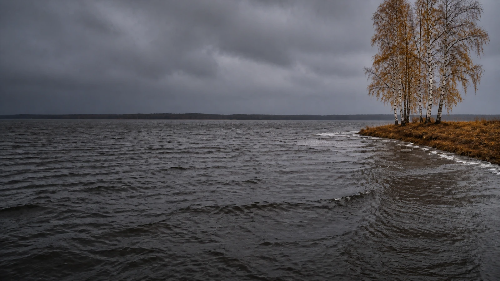 Blåsig höstdag över en sjö med krusigt grått vatten, höstgula björkar på udden och låga tunga moln.