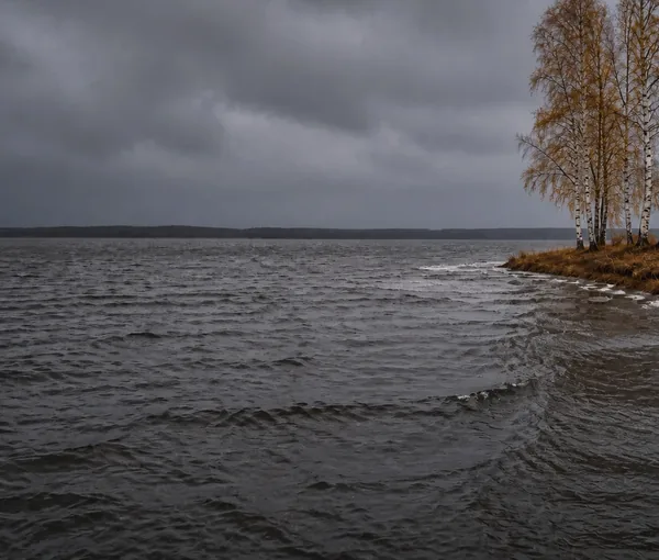 Blåsig höstdag över en sjö med krusigt grått vatten, höstgula björkar på udden och låga tunga moln.