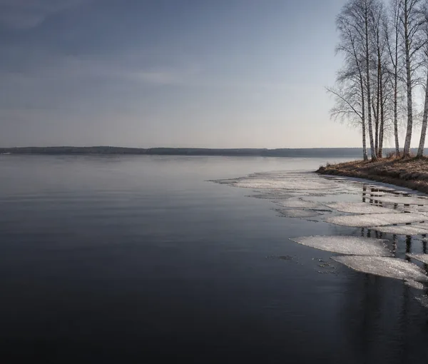Sjö i vårupplösning där de sista isflaken ligger kvar längs stranden intill öppet vatten, med kala björkar och kallt klart ljus.