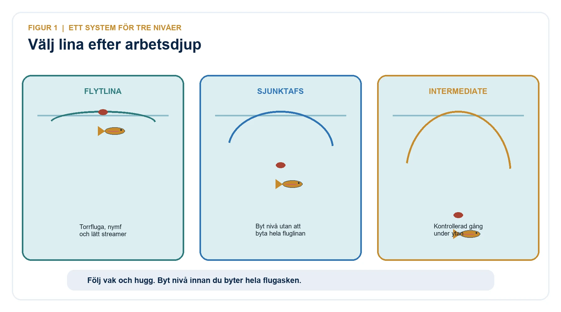 Flytlina, sjunktafs och intermediär fluglina presenterar flugan på tre olika nivåer efter regnbåge.