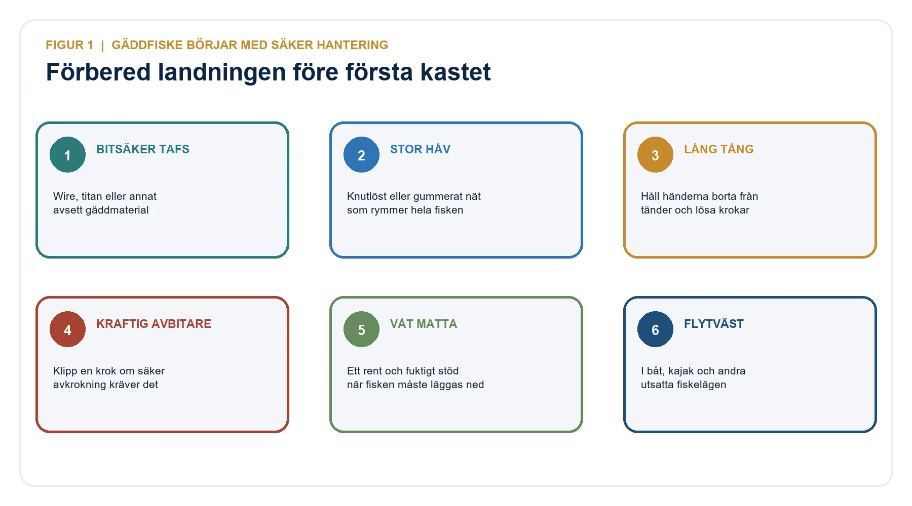 Sex delar för säkrare gäddfiske: bitsäker tafs, stor håv, lång tång, avbitare, våt matta och flytväst.