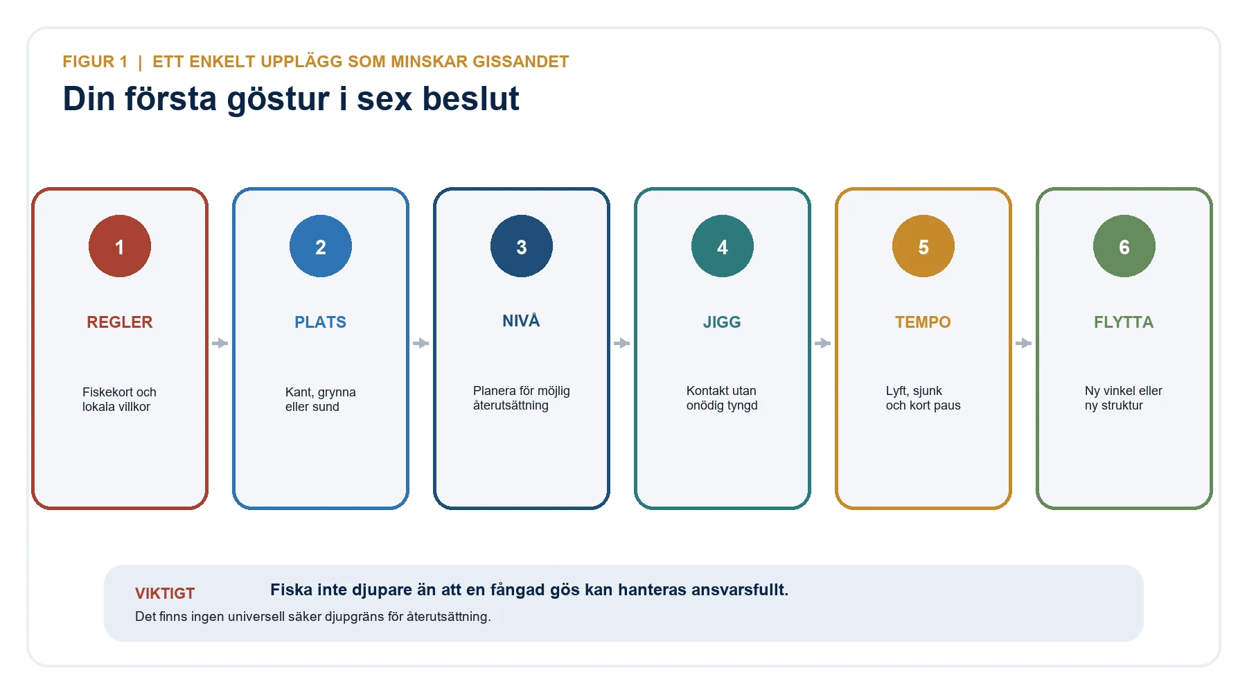 Sex beslut för den första gösturen: regler, plats, nivå, jigg, tempo och förflyttning.