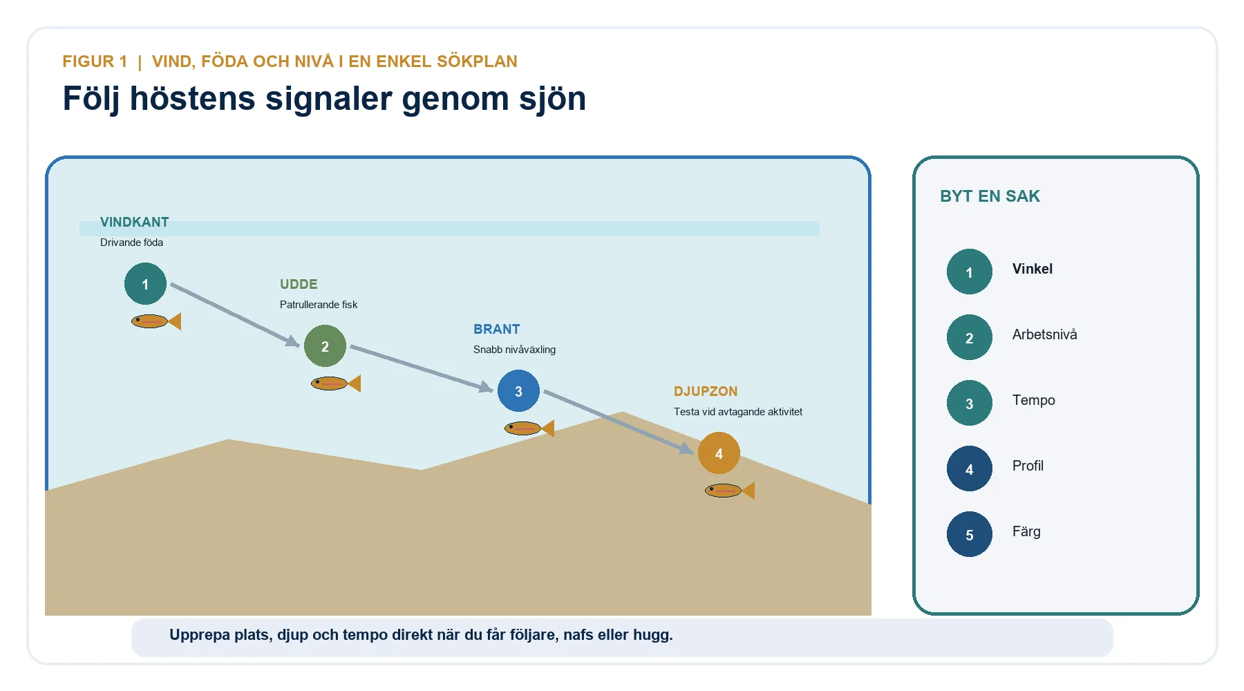 Höstlig sökplan efter regnbåge från vindkant och udde via brant till djupzon med fem steg för metodiska ändringar.