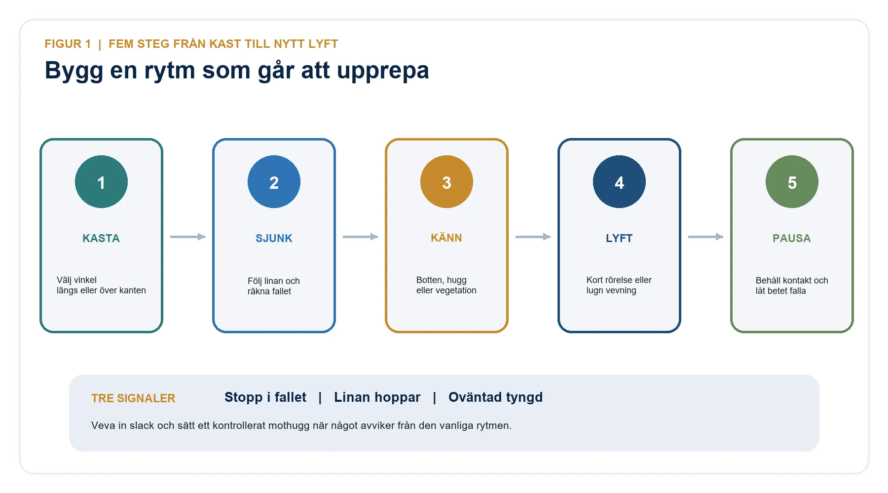 Fem steg vid jiggfiske efter gös: kasta, sjunk, känn kontakt, lyft och pausa.