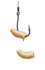 Fluglarv krokad i den trubbiga änden så att den hänger fritt från krokspetsen.