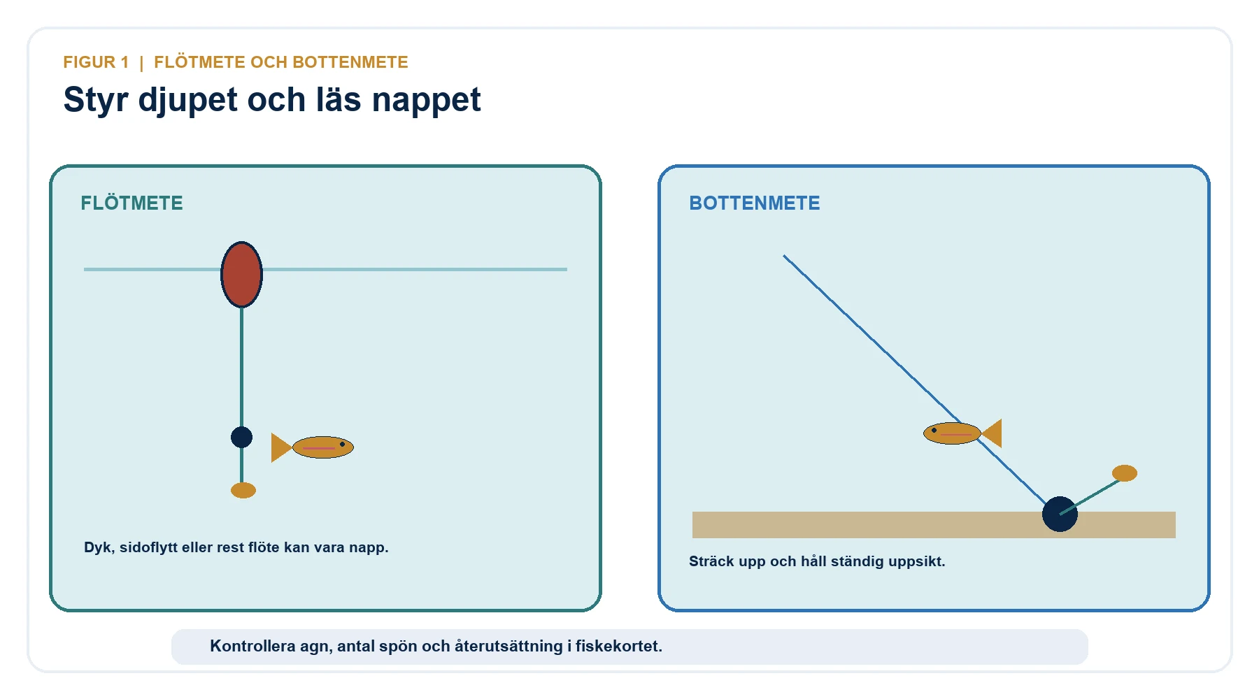 Flötmetetackel och bottenmetetackel för regnbåge med tydlig nappindikering.