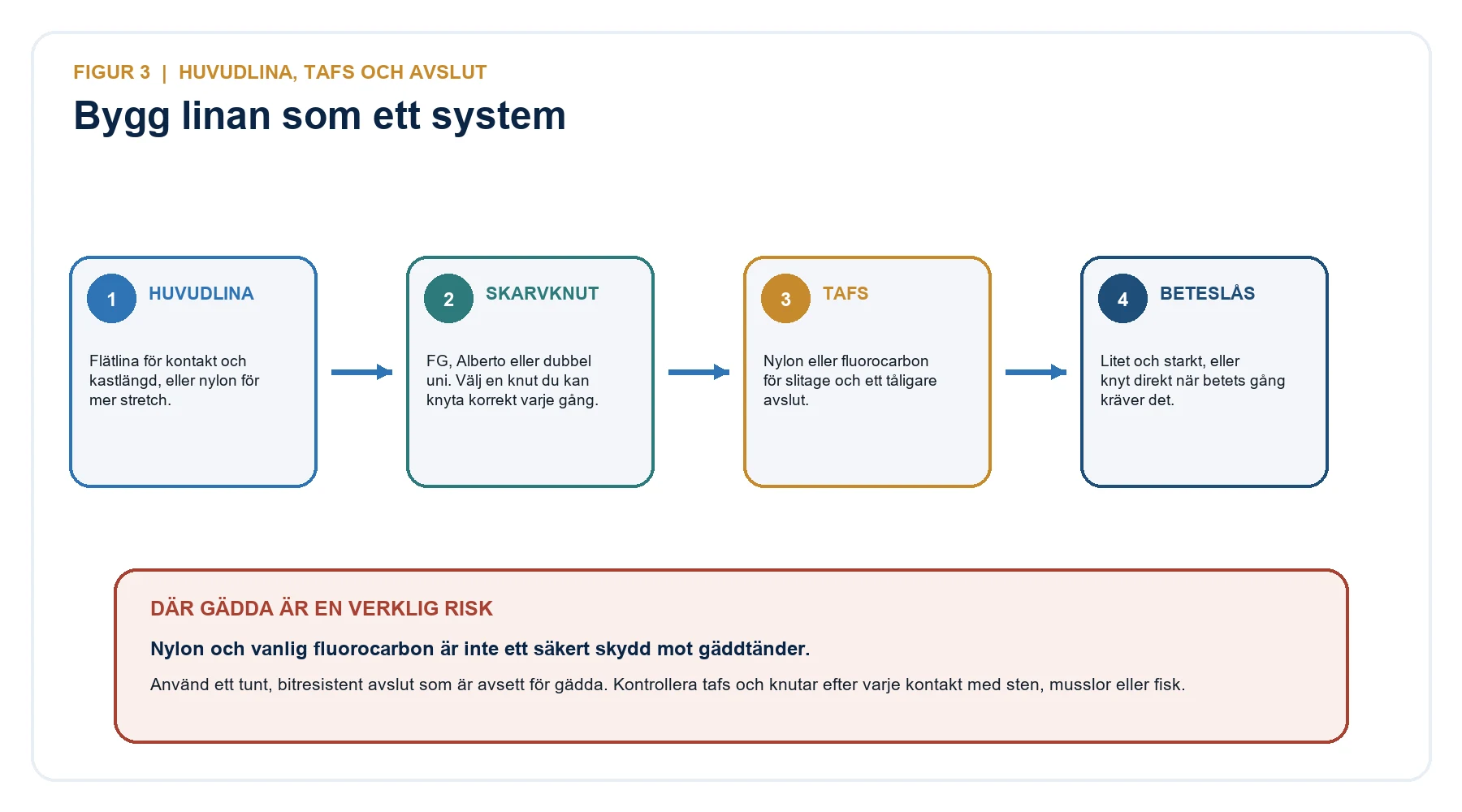 Linsystem för abborrfiske med huvudlina, skarvknut, tafs och beteslås samt varning om gäddrisk.