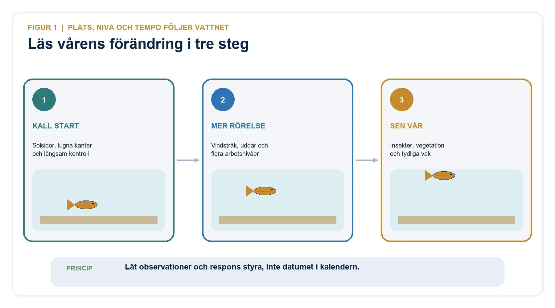 Tre steg i vårfiske efter regnbåge från kall start till mer rörelse och vakande fisk under sen vår.