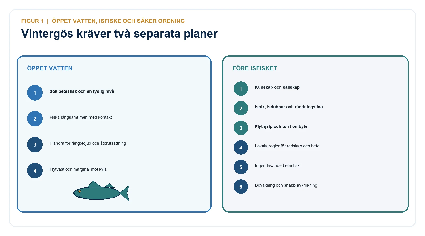 Två vinterplaner för gös: öppet vatten samt isfiske med sällskap, ispik, isdubbar, räddningslina och lokala regler.