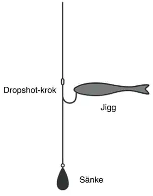 korrekt riggad dropshot för abborre