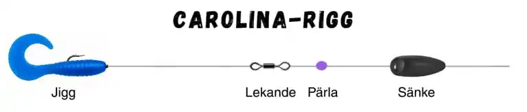 korrekt riggad carolina-rigg för abborre
