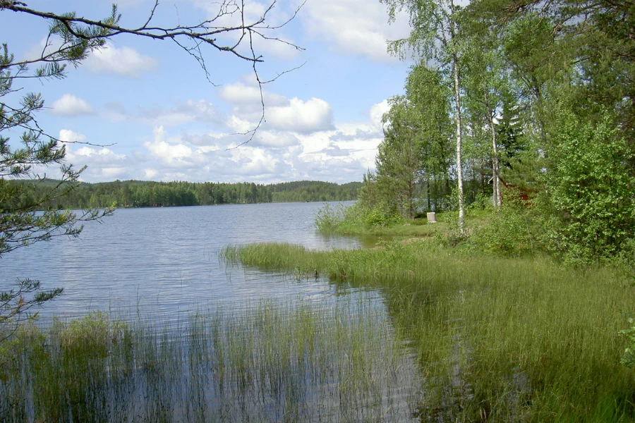 Typisk svensk put and take-sjö för att fiska regnbåge – lugnt vatten, omgiven av skog och lättillgänglig strand.