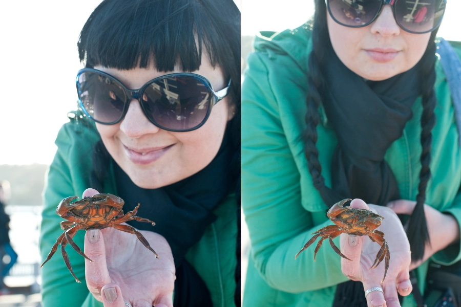Glad person visar upp en krabba efter att ha fiskat krabbor vid västkusten